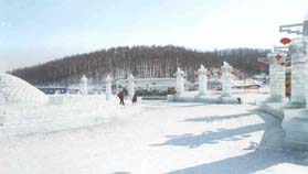 元帥林國家森林公園