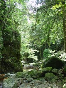 武夷山國家自然保護區