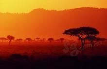 帕雷山脈 帕雷山脈