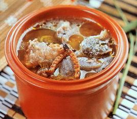 蟲草金龜 蟲草金龜