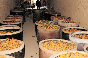 窯洞醋窖 窯洞醋窖