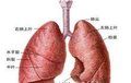先天性肺囊腫