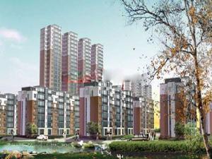 新和錦城 新和錦城