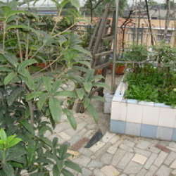 花樣年華.樂摩築 花樣年華.樂摩築