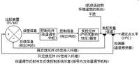 體溫調節反射與負反饋控制系統示意圖