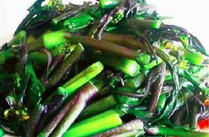 蒜蓉紅菜苔 蒜蓉紅菜苔