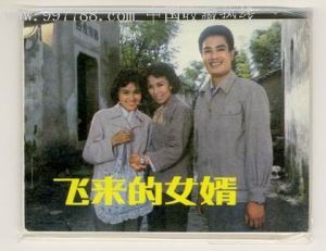 《飛來的女婿》