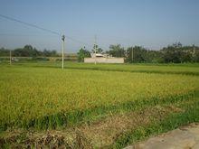 雲南省昆明市安寧市草鋪鎮麒麟村自然資源