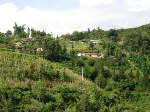 趕馬村自然村 趕馬村自然村