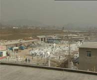 南埝頭村 南埝頭村