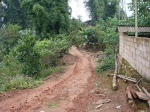 移新自然村 移新自然村