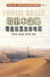 塔里木盆地覆蓋區顯生宙地層