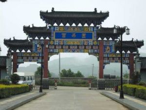 修水百茶園 修水百茶園