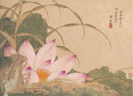 荷花圖[清代謝蓀創作紙本設色畫]