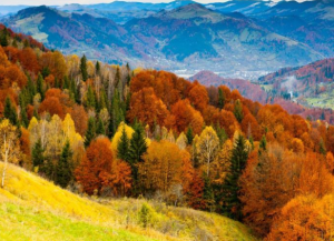 湖南南山國家公園