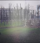 界首市邴集趙大智慧中學