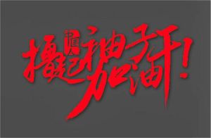 擼起袖子加油乾