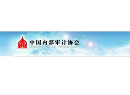 中國內部審計協會 中國內部審計協會
