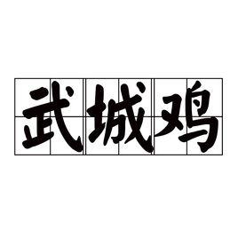 武城雞 武城雞