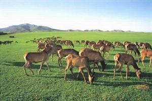 十二里溝 十二里溝