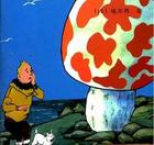 《丁丁歷險記》