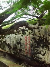 趙紓攻剿紅夷刻石 趙紓攻剿紅夷刻石