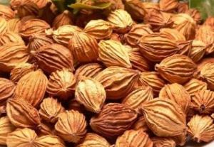 香砂七氣湯 香砂七氣湯