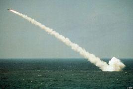 “海長矛”反潛飛彈 “海長矛”反潛飛彈