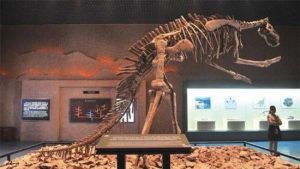 生物進化史陳列室 生物進化史陳列室