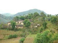 立洞自然村 立洞自然村