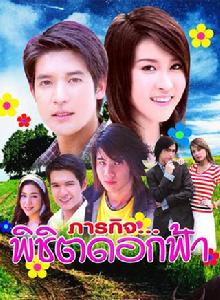 宋開心的愛情逆襲 宋開心的愛情逆襲