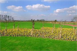 江蘇長江口旅遊度假區 江蘇長江口旅遊度假區