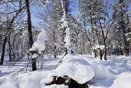 老里克湖 老里克湖