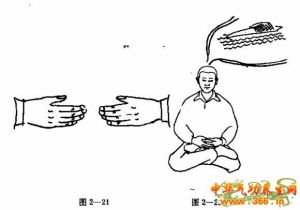 通靈內丹功 通靈內丹功