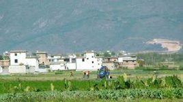 上雞邑村委會 上雞邑村委會