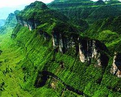 柏箐自然保護區 柏箐自然保護區