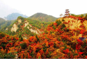 樊梨花寨 樊梨花寨