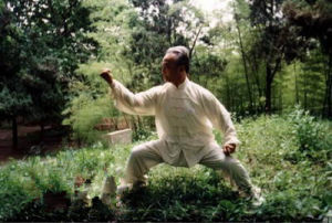 內功[武術術語]