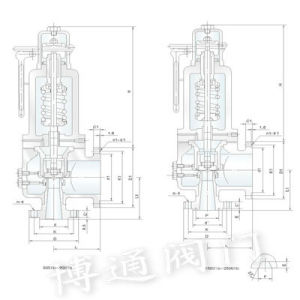 SHGS美標高性能蒸汽安全閥 SHGS美標高性能蒸汽安全閥