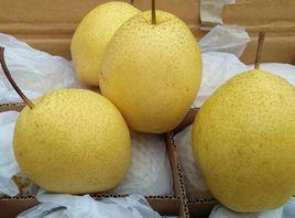 趙縣雪花梨 趙縣雪花梨