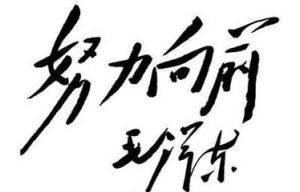 皇天不負有心人 皇天不負有心人