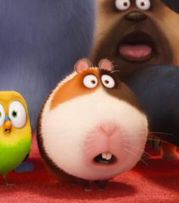 寵物的秘密生活[美國電影]