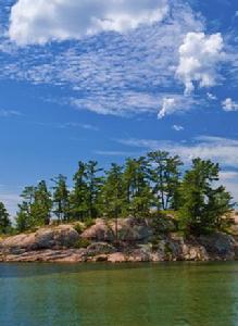 所有明亮的地方[2017年美國電影]