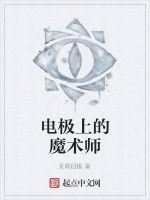 電極上的魔術師 電極上的魔術師