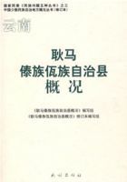 耿馬傣族佤族自治縣概況 耿馬傣族佤族自治縣概況