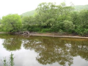 細鱗河保護區 細鱗河保護區