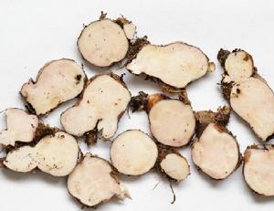 豌豆七根 豌豆七根