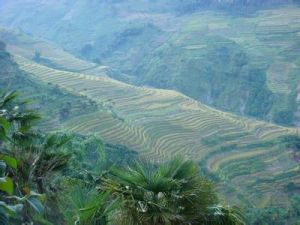 下德們村 下德們村