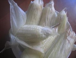 蒸玉米棒子 蒸玉米棒子