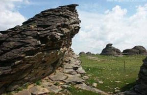 洪格爾廟組 洪格爾廟組